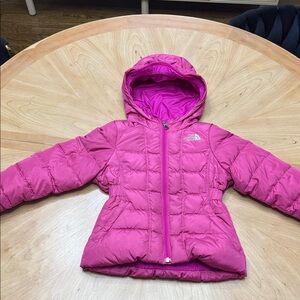 The North Face Fuchsia Hooded Puffer Jacket